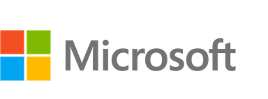 Microsoft icon